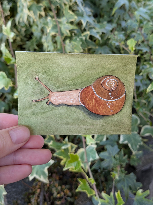 Snail Original Signed ACEO | whimsical forest animal