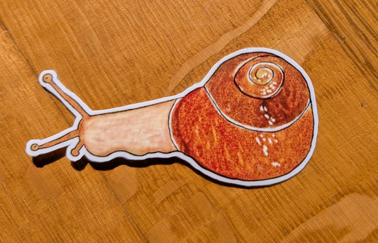 Snail sticker | whimsical forest animal