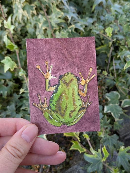 Tree Frog Original Signed ACEO | whimsical forest animal