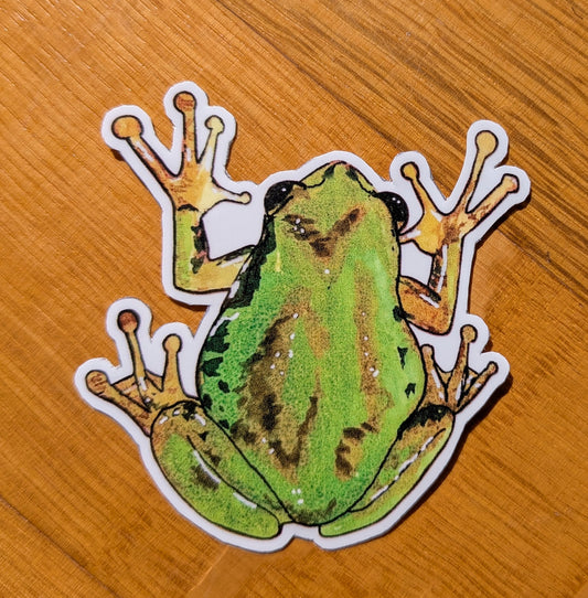 Frog sticker | whimsical forest animal