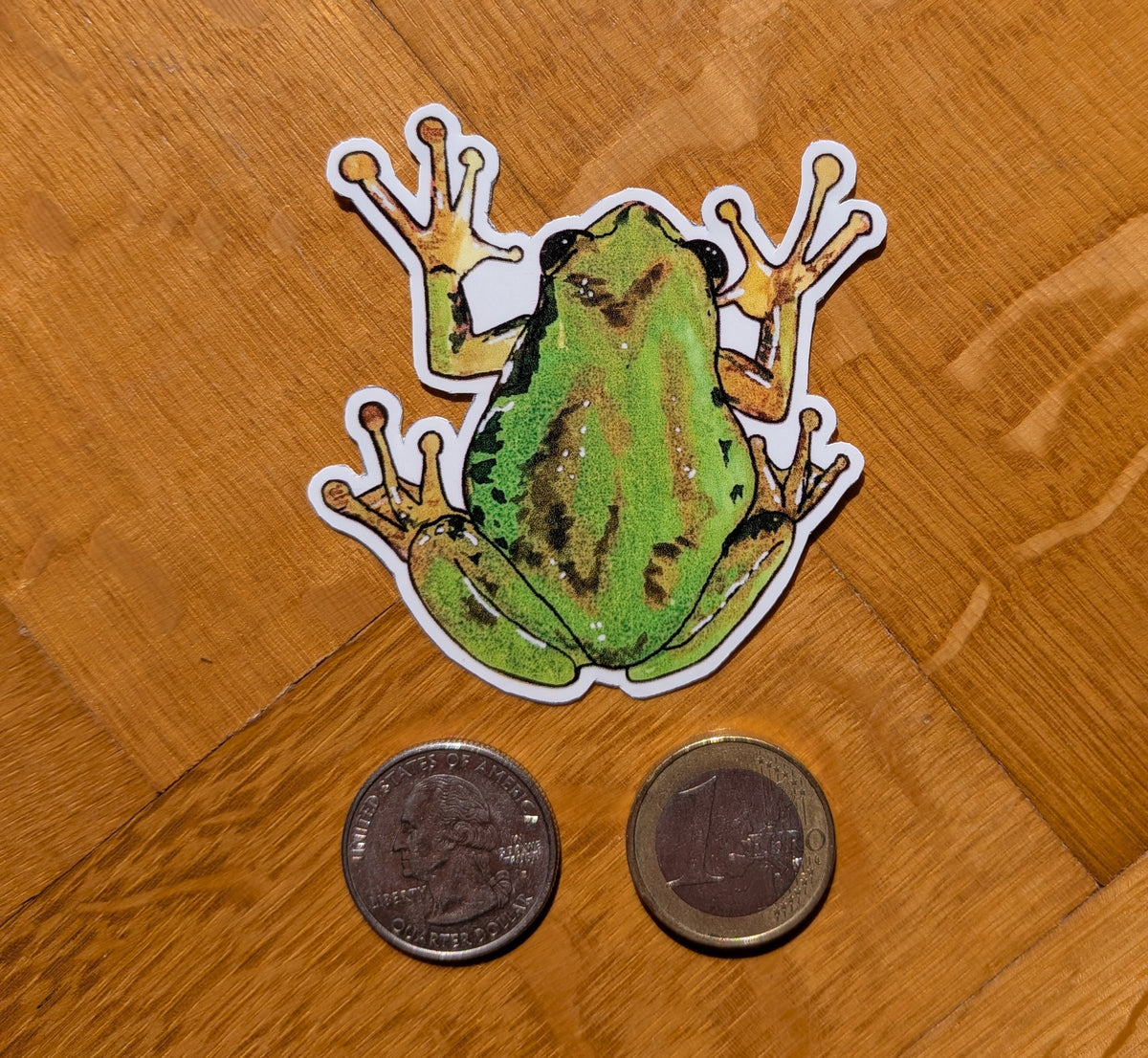 Frog sticker | whimsical forest animal