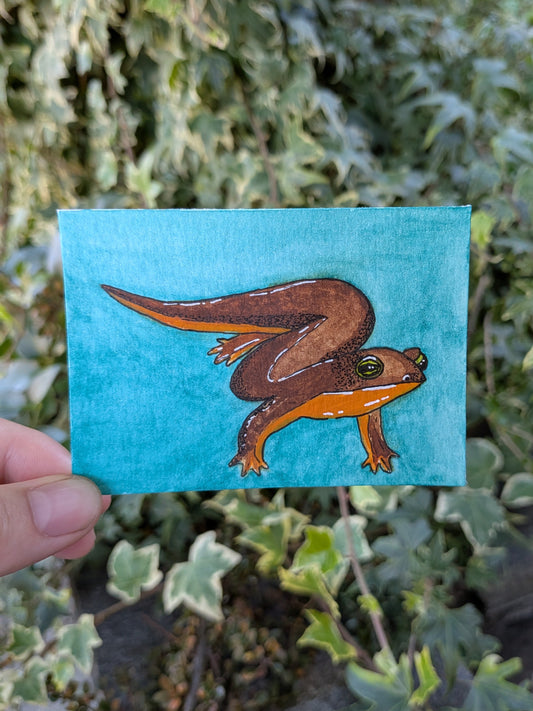 Salamander Original Signed ACEO | whimsical forest animal