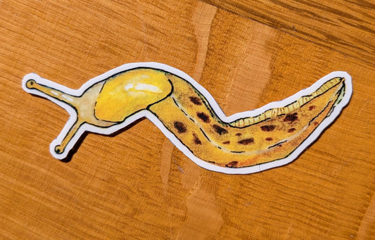 Banana slug sticker | whimsical forest animal