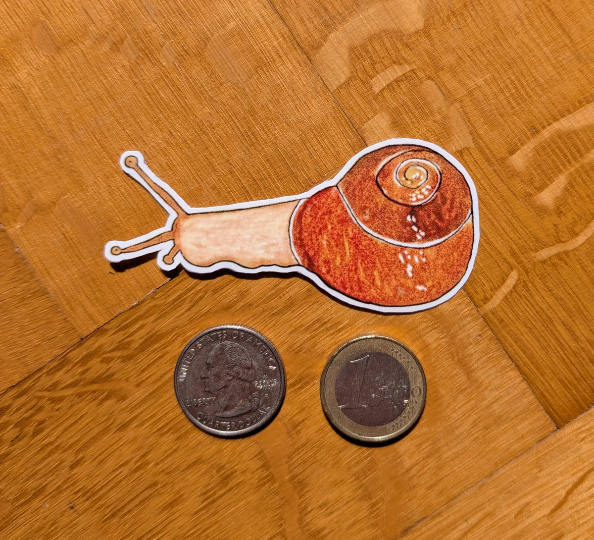 Snail sticker | whimsical forest animal