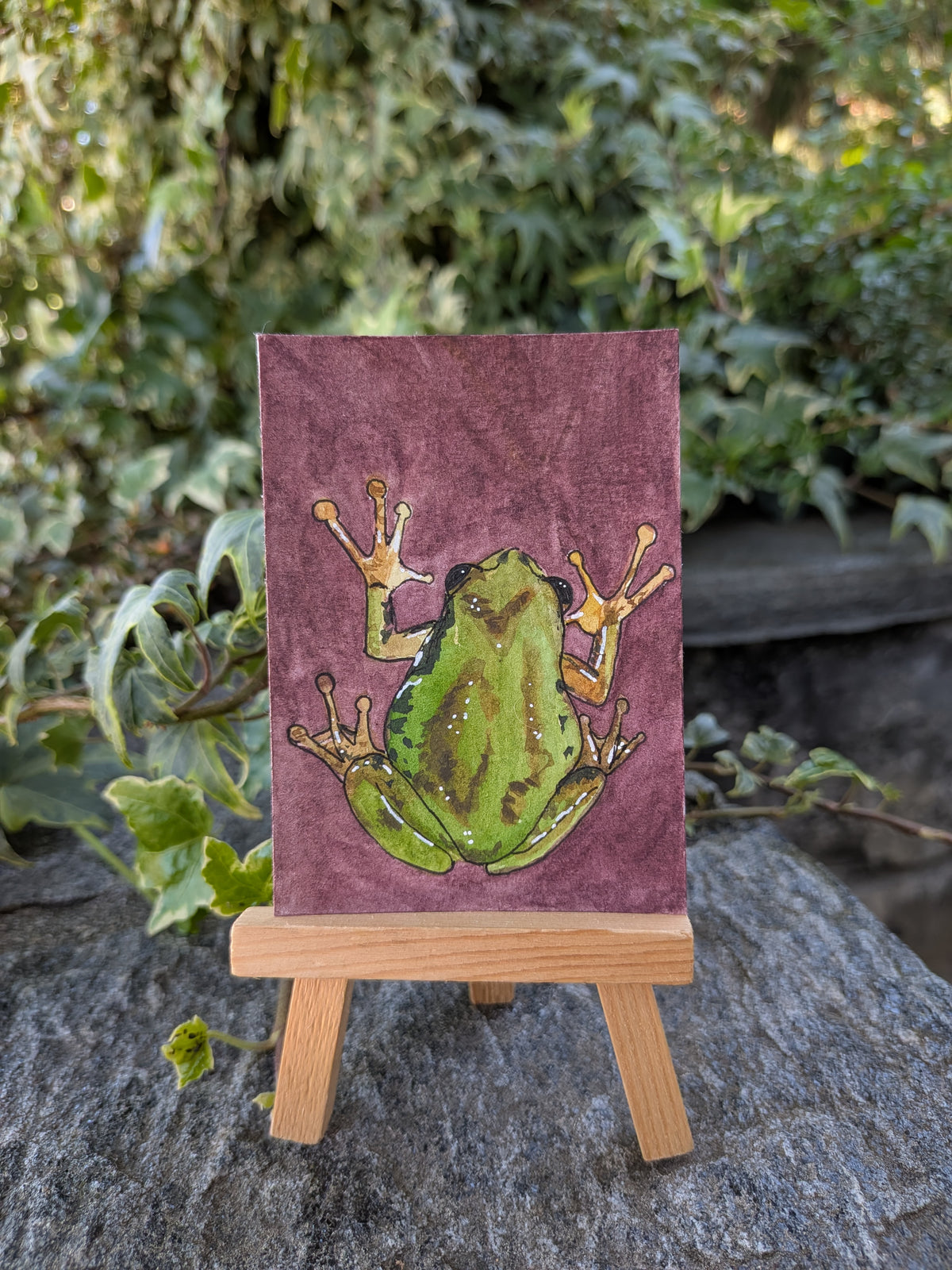 Baumfrosch Original ACEO | skurriles Waldtier