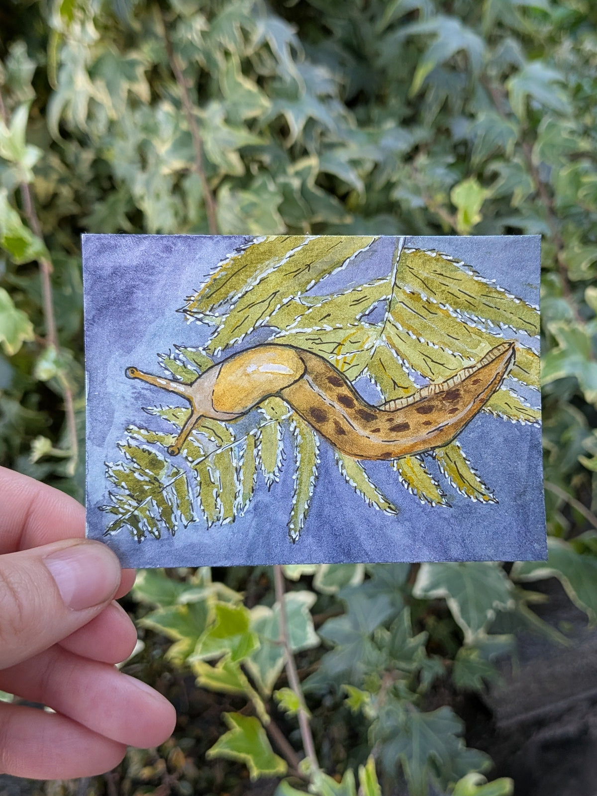 Bananenschnecke Original ACEO | skurriles Waldtier