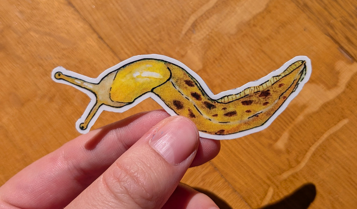 Slimy Critters Sticker Pack | whimsical forest animals