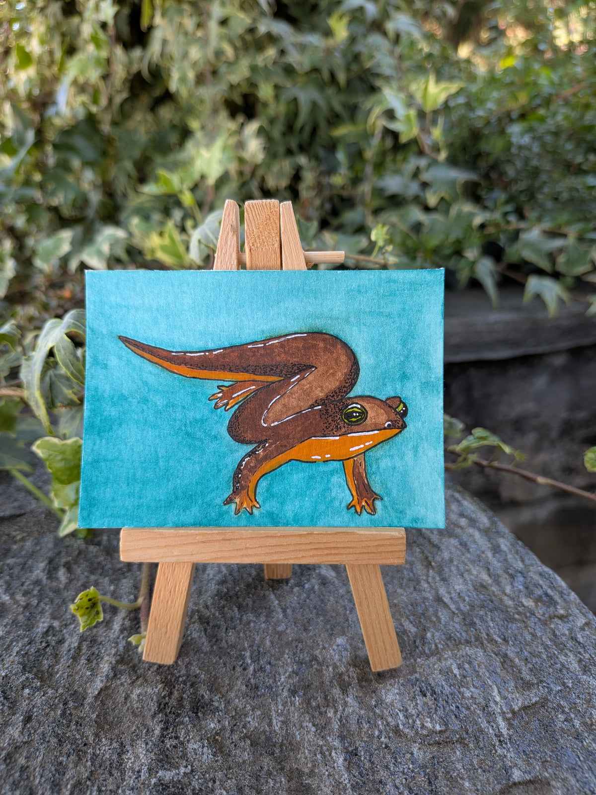 Salamander Original ACEO | wundersames Waldtier