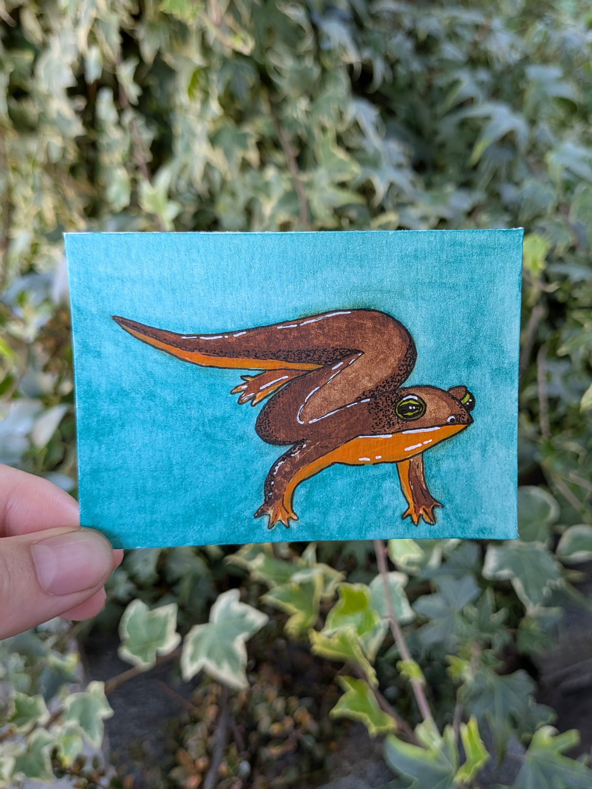 Salamander Original ACEO | wundersames Waldtier