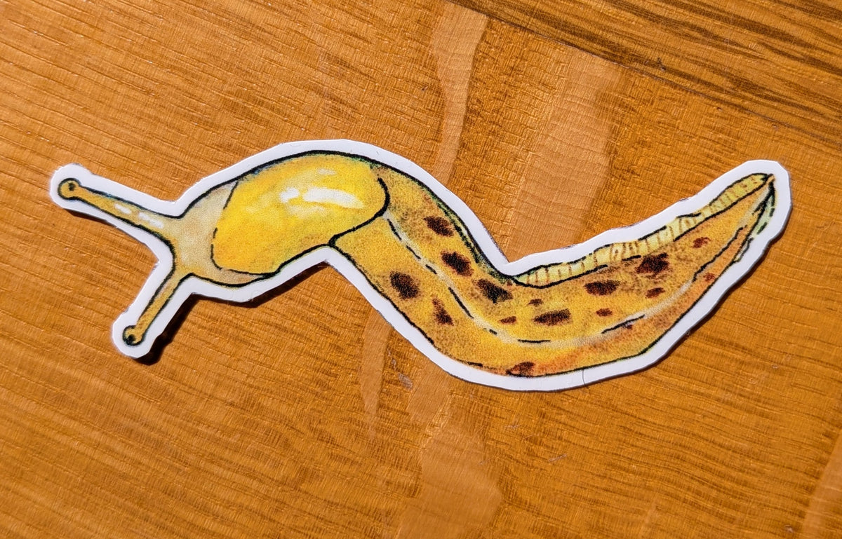 Banana slug sticker | whimsical forest animal